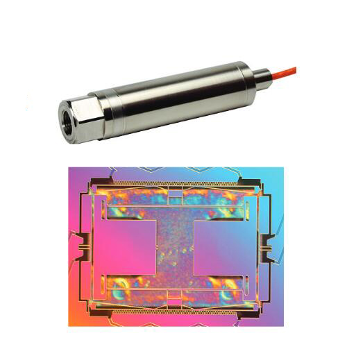 Druck RPS/DPS8100型压力传感器