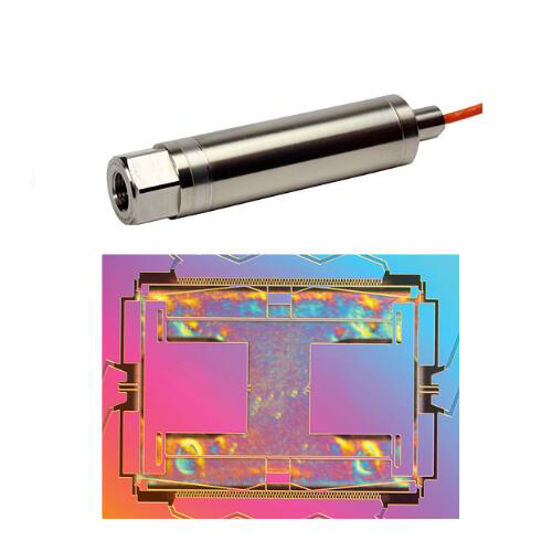 Druck RPS8021谐振式压力传感器