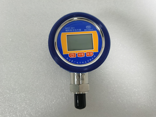RGY-5O1精密数字压力表